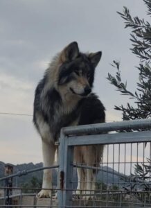 WhatsApp Image 2024-09-20 at 16.58.44 (1)