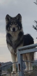 WhatsApp Image 2024-09-20 at 16.58.44