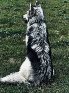 WhatsApp Image 2024-09-20 at 16.58.45 (1)