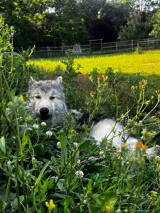 WhatsApp Image 2024-09-20 at 16.58.45 (2)