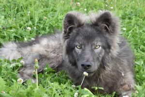 WhatsApp Image 2024-09-20 at 17.10.15 (2)