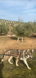 WhatsApp Image 2024-09-20 at 17.16.16 (1)