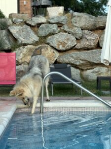 593513427_32622517727391881_7881167929122788144_n