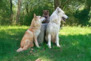 Orion hijo de torvi con padres