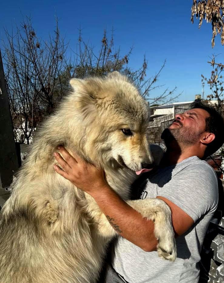 WhatsApp Image 2025-10-21 at 13.55.03 (1)