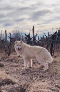 WhatsApp Image 2025-11-27 at 12.36.02 (3)