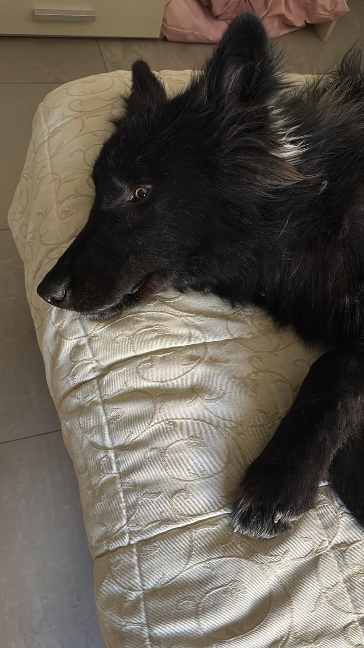 WhatsApp Image 2025-11-27 at 12.43.01