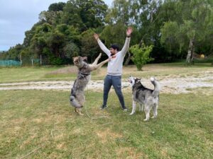 WhatsApp Image 2025-12-09 at 14.04.46 (1)