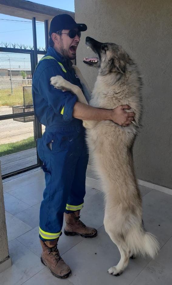 hijo de gaua indiana